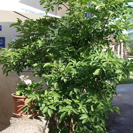 Apartment Krnica N43 المظهر الخارجي الصورة